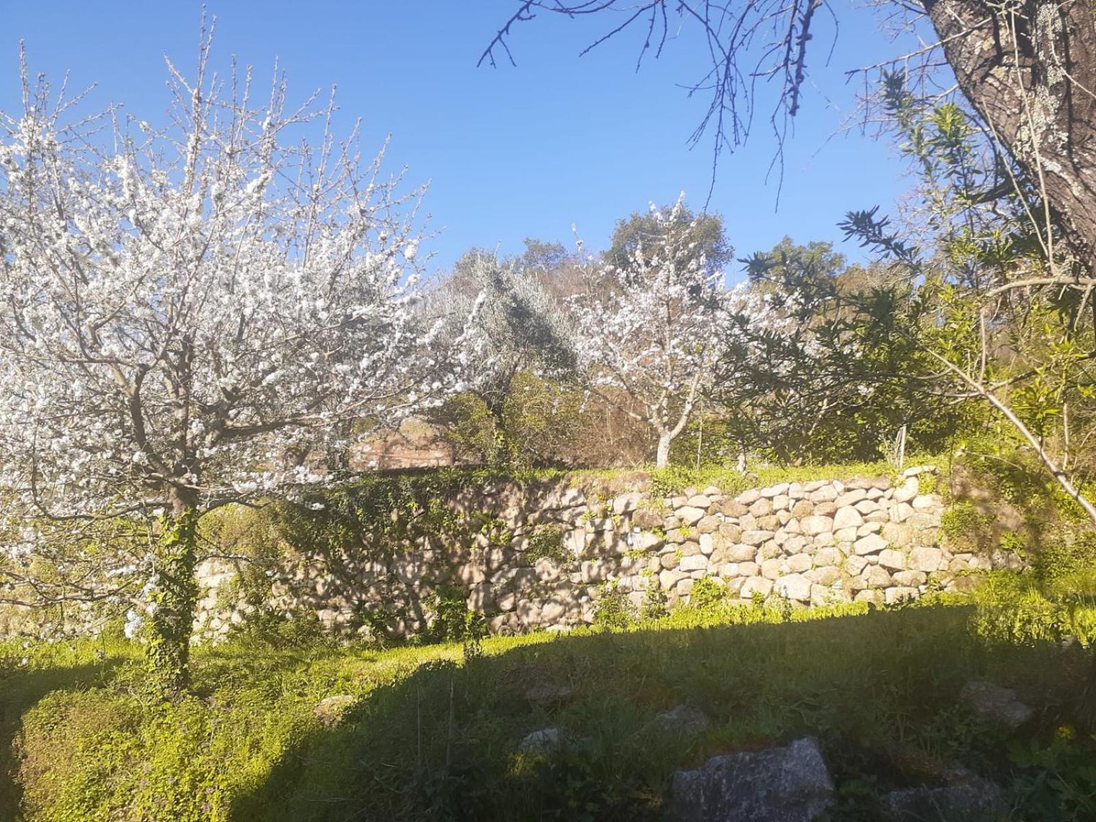 Quinta Dos Carvalhos The Wine House Farm In Center Of Lamego - Capital Of The Douro Villa Exterior photo